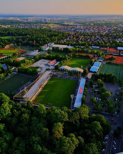 来可能为他 来可能为他