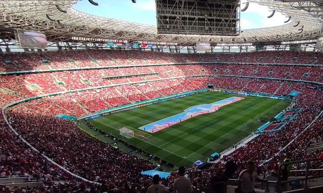 的情感历程 的情感历程