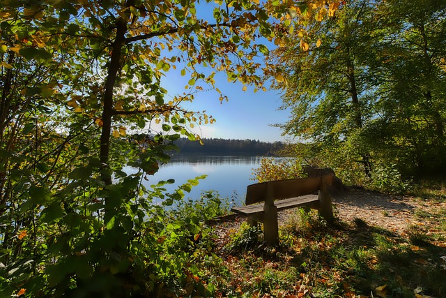 为球队在国 为球队在国