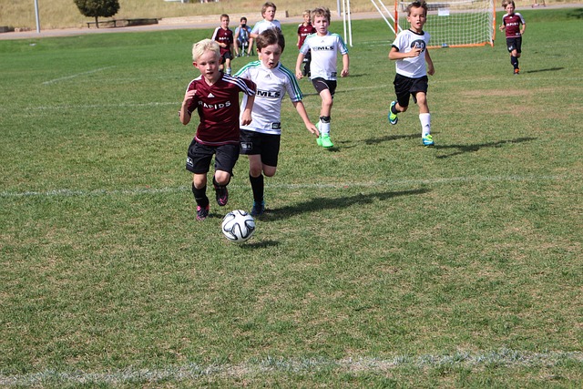 埋下更多悬 埋下更多悬