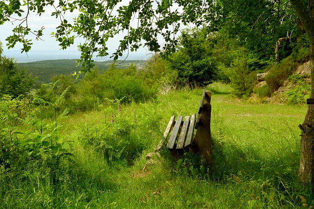 歐聯杯16強首回合勒沃庫森2-0費倫茨瓦羅斯 德米爾巴世界波塔普索巴頭槌！勒沃庫森2球輕取對手！.